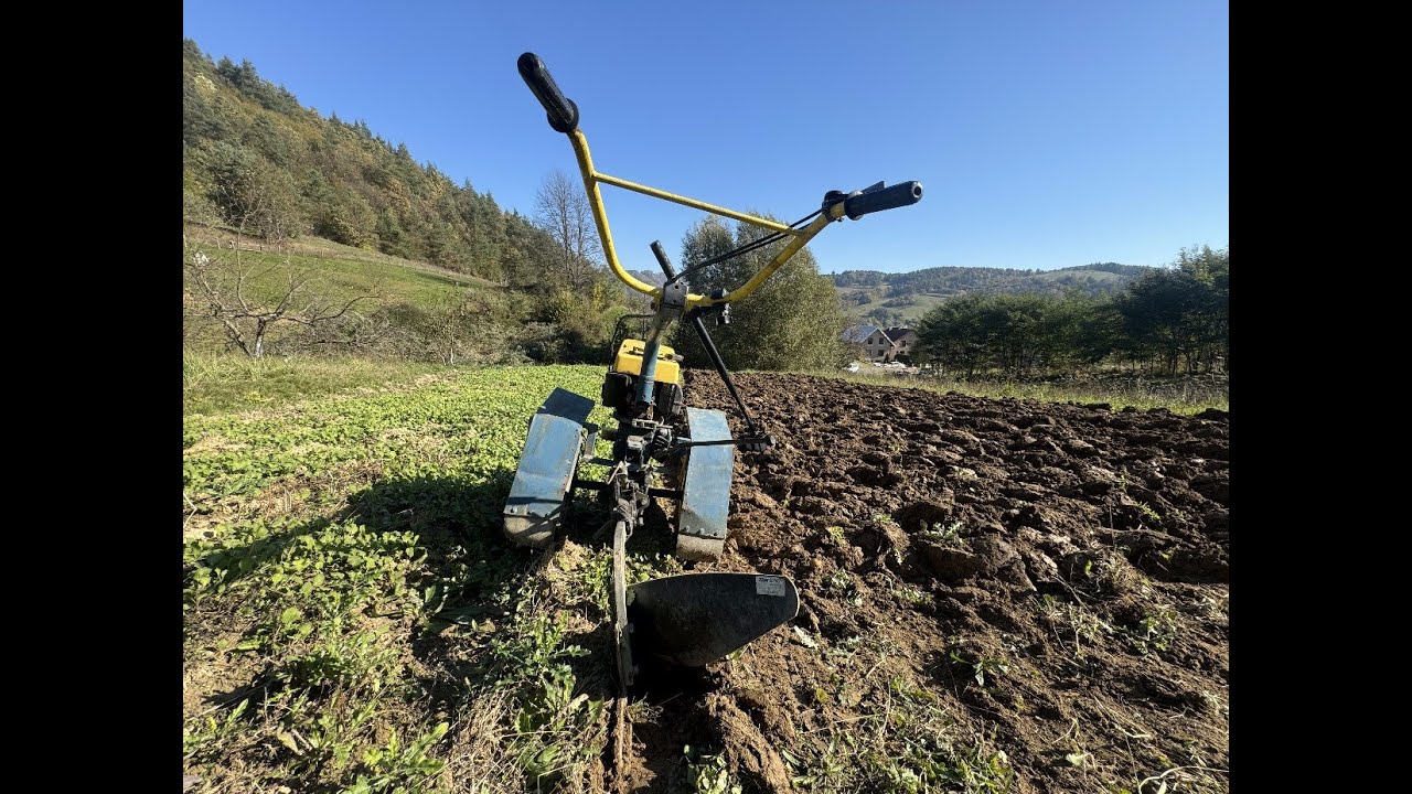 Agzat - Orba 24