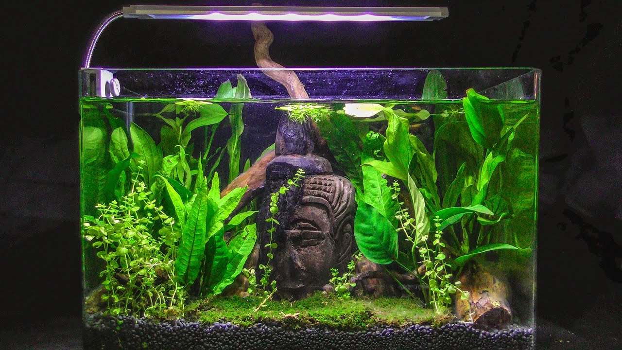 How to make LOST WORLD Aquarium Fish Tank - STEP BY STEP TUTORIAL