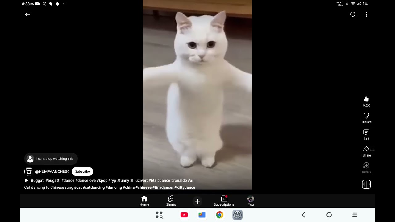 I see you kpuppy0101 you said I can't follow in YouTube. Also go sub to the guy who made this cat