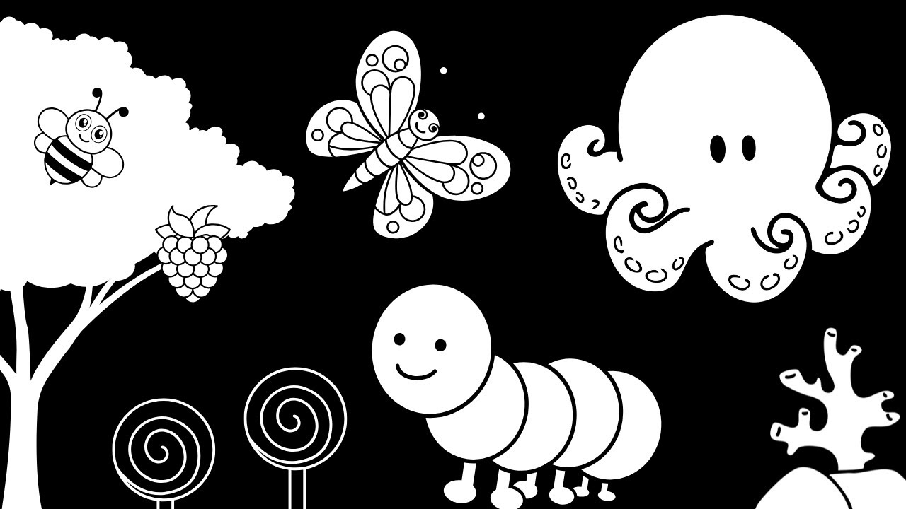 Baby Sensory - Black And White Baby Stimulation - Sensory Videos For Babies #babysensory #baby
