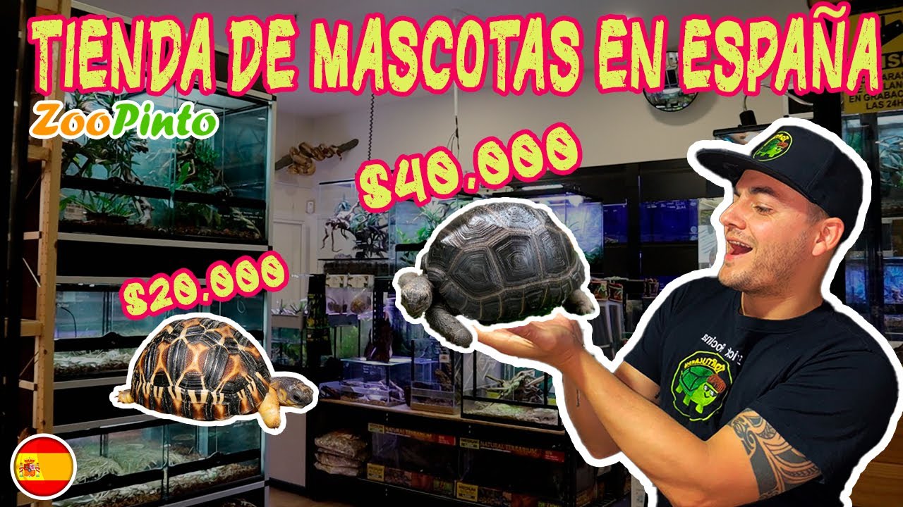 VISITANDO UNA TIENDA DE ANIMALES SUPER EXÓTICOS EN ESPAÑA