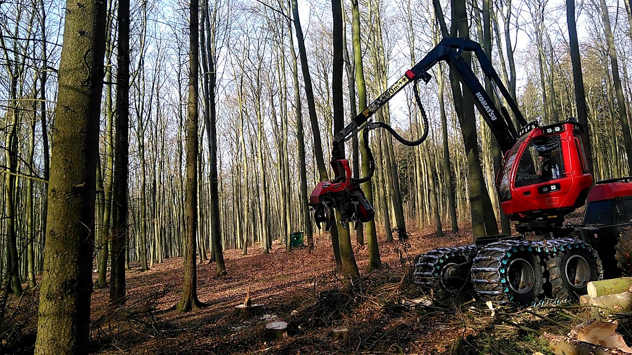 Komatsu 931XC & C144,,,😎 Einfach 🌲🌲🌲 Schneiden