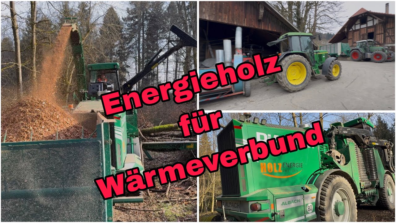 Holzacken im Februar