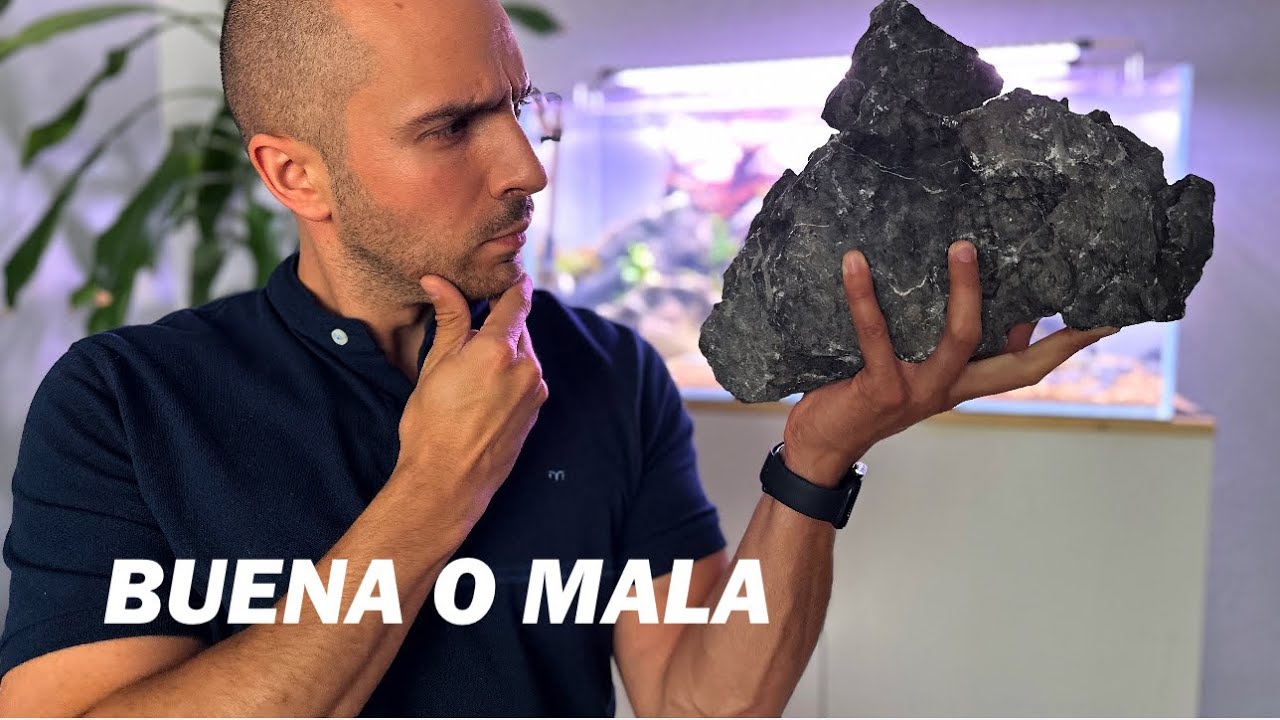 Cómo Saber si una Roca Cambiará la Dureza de tu Acuario