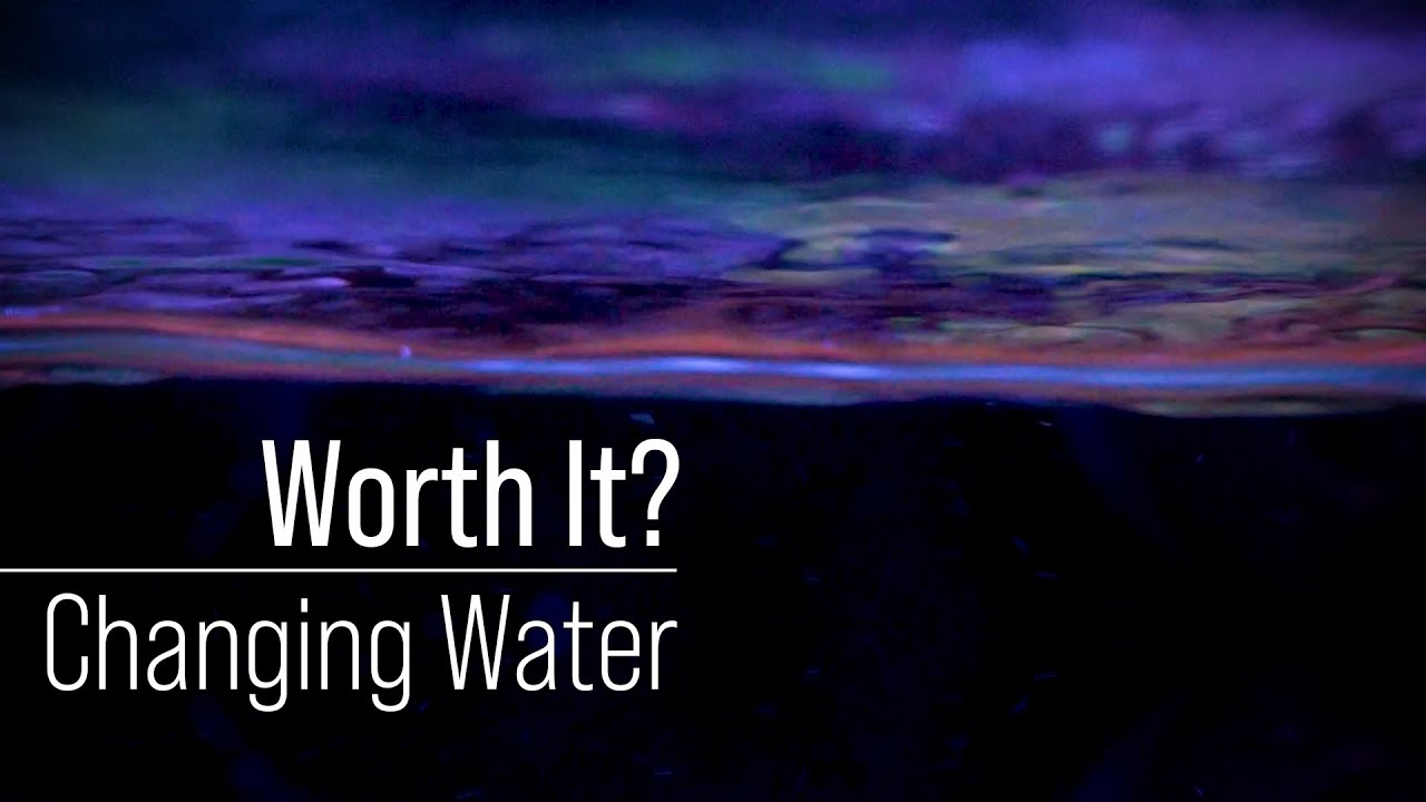 Are Water Changes Worth It? A Hammer Solution to Aquarium Water Quality, but Dilution Works.