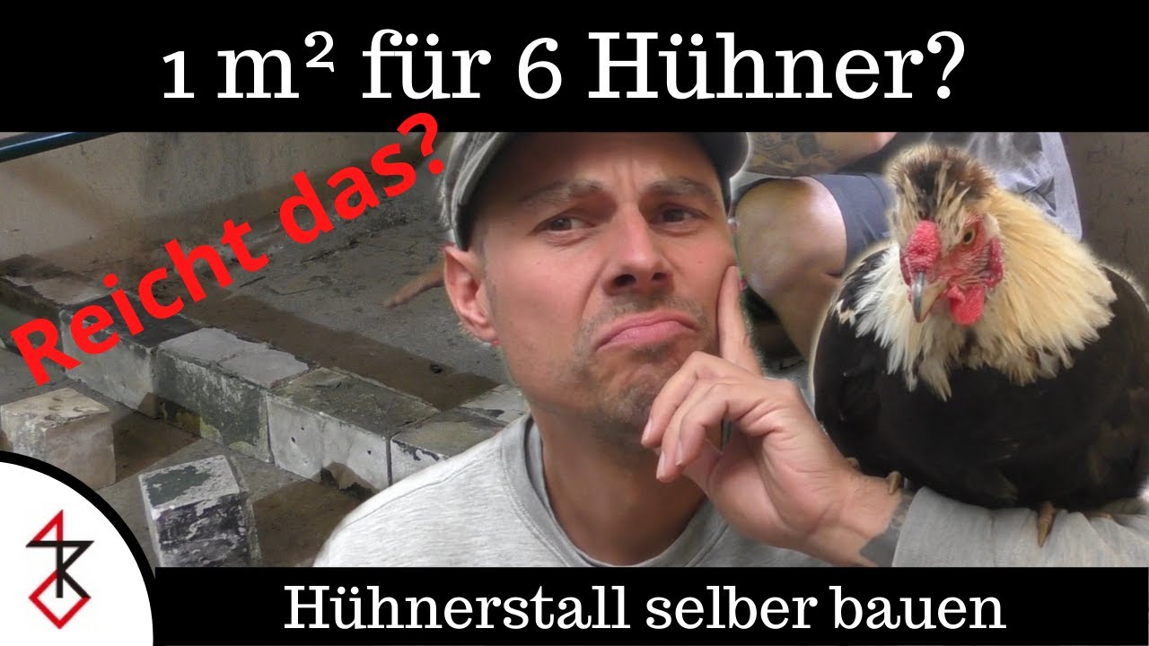 Hühnerstall selber bauen | Reicht 1 m² für 6 Hühner?