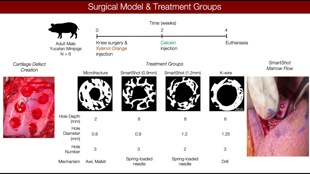 Marked differences in local bone remodeling based on marrow stimulation technique in a large animal