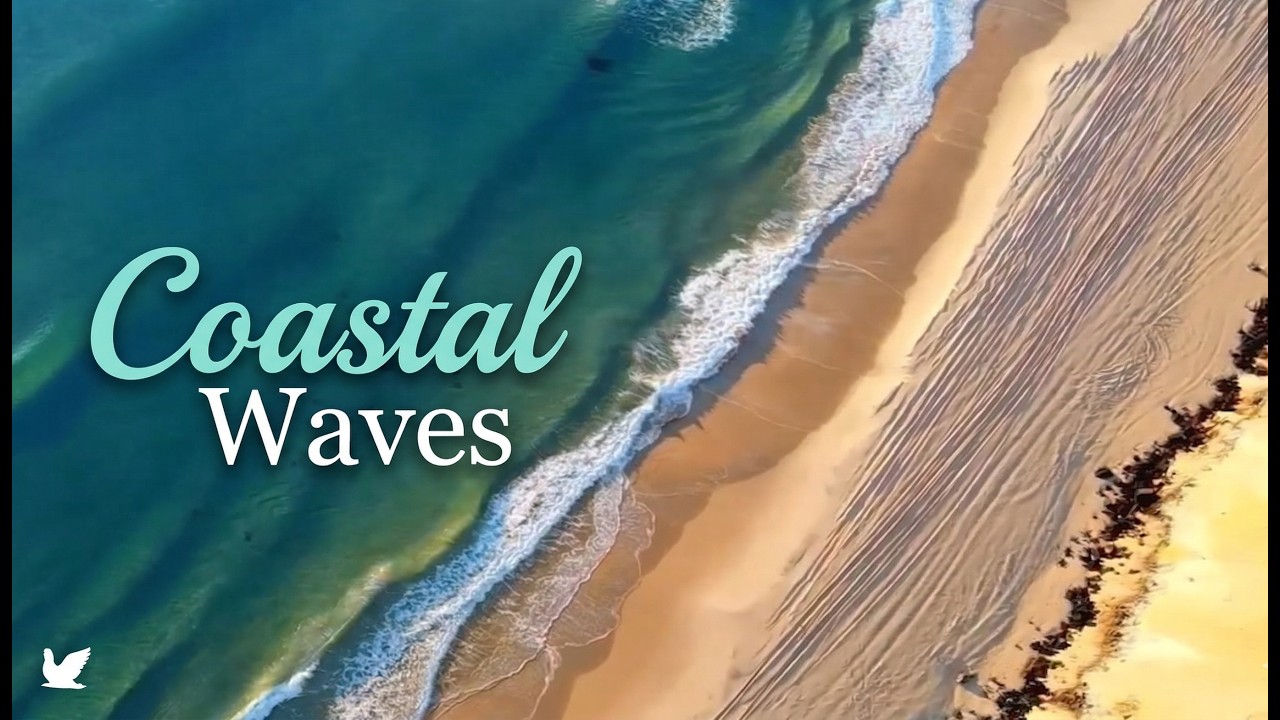 🌊 16 Minute Ocean Waves for Quick Sleep & Power Nap | Relaxing Sea Sounds (No Music)