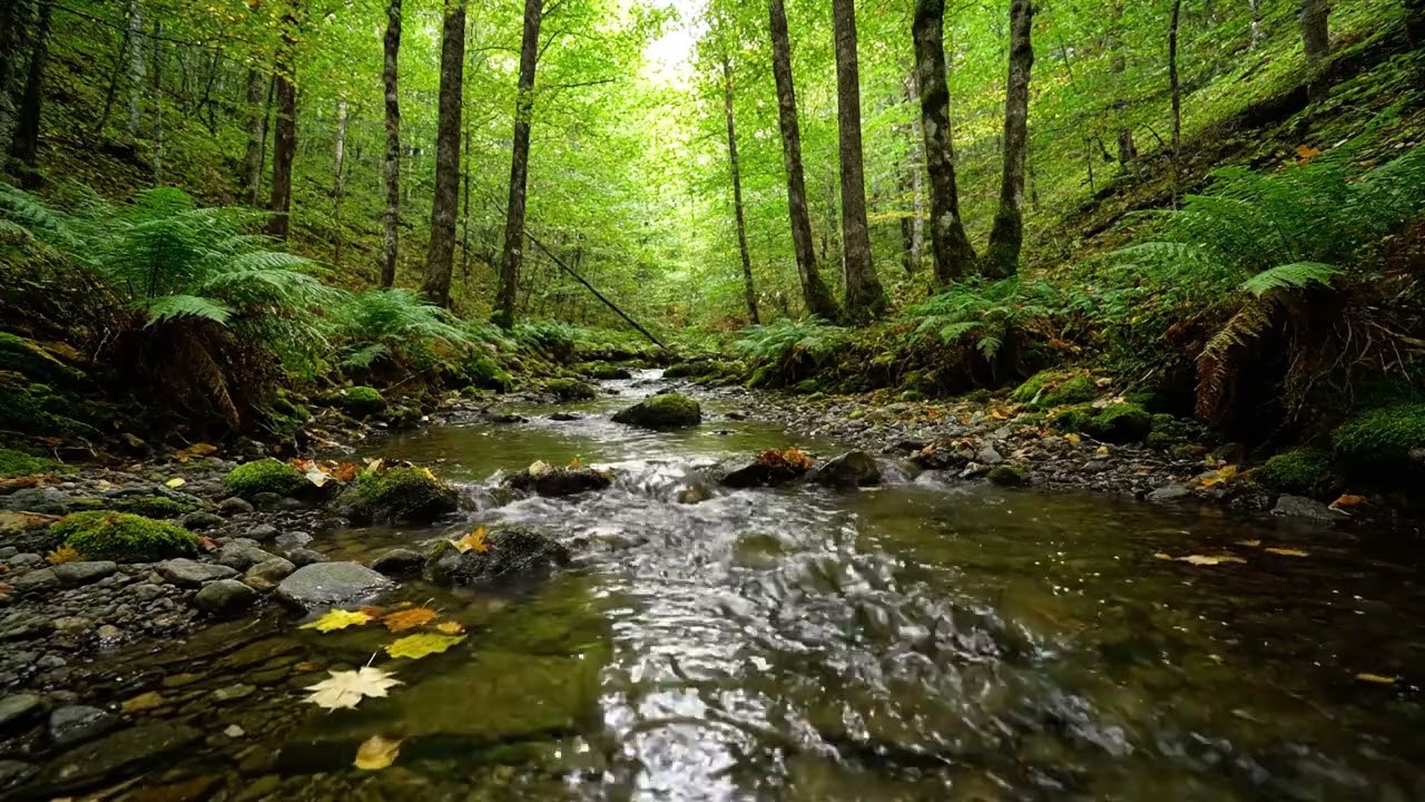 3 HOURS: 😭 ESCAPE Anxiety & Stress! Ultimate Healing Music Mix for INSTANT Calm & Deep Focus