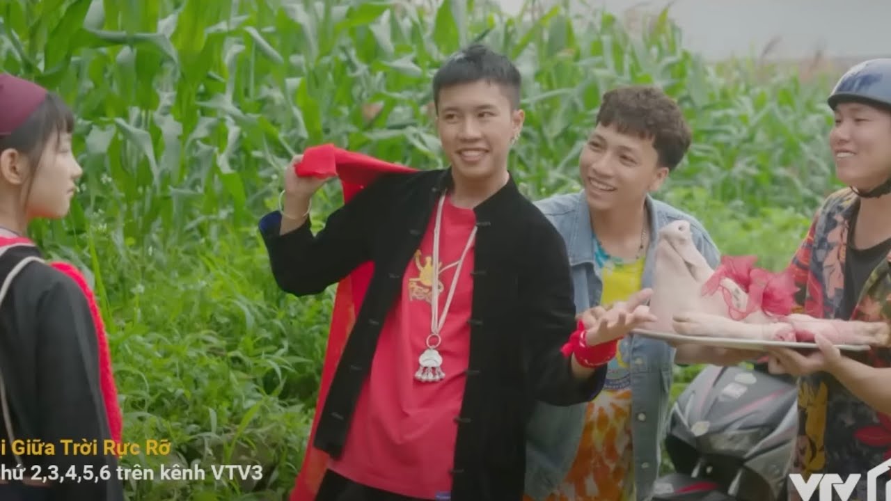 [TIKTOK] Tổng hợp các video tiktok về Pu và Chải trong phim Đi Giữa Trời Rực Rỡ | Gloria 🌹