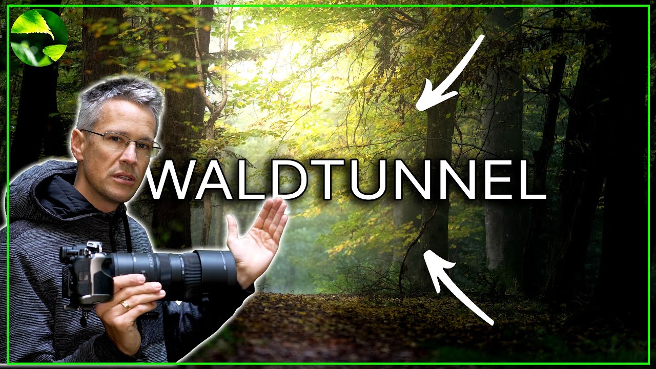 FOTOGRAFIEREN LERNEN - Lichttunnel im Wald genial fotografieren!