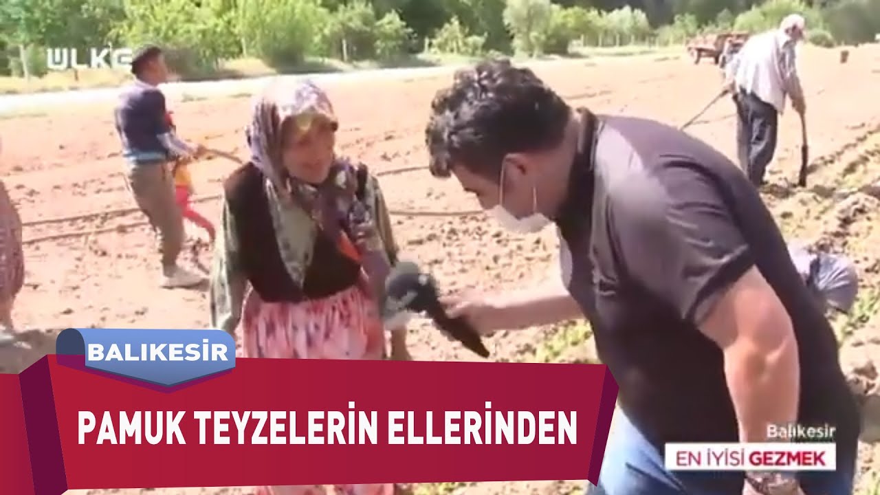 Bursa Orhangazi'de Dalından Fasulye Hasadı | En İyisi Gezmek | BURSA