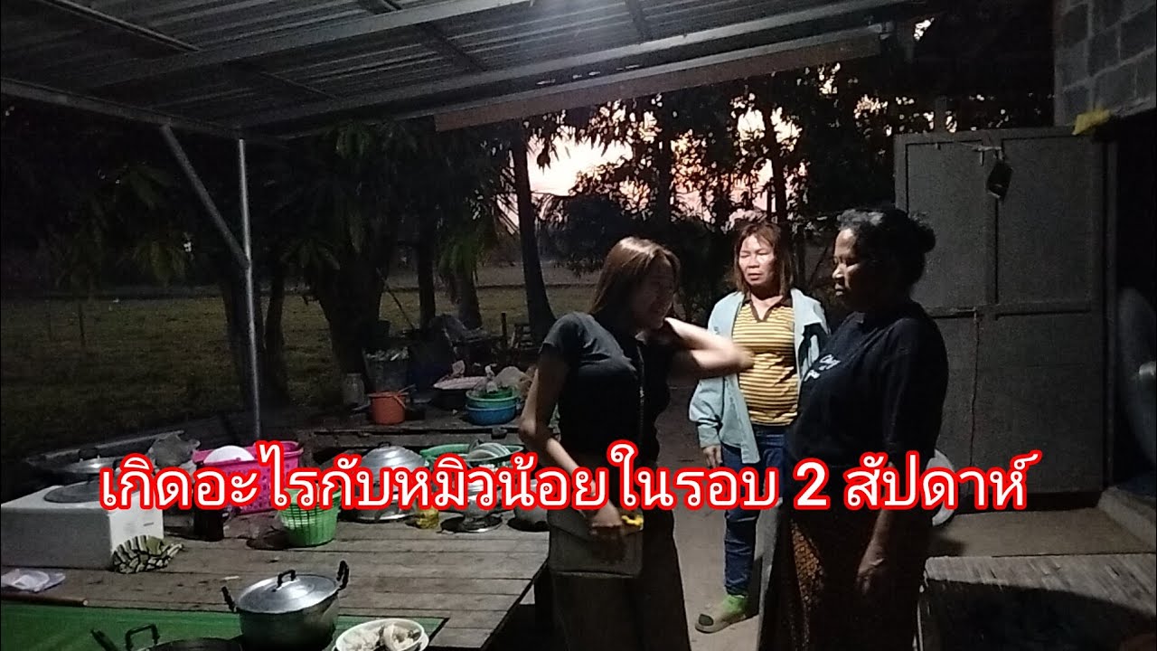 เกิดอะไรขึ้นกับหนูน้อยในรอบ 2 สัปดาห์ลำเพลิน show official