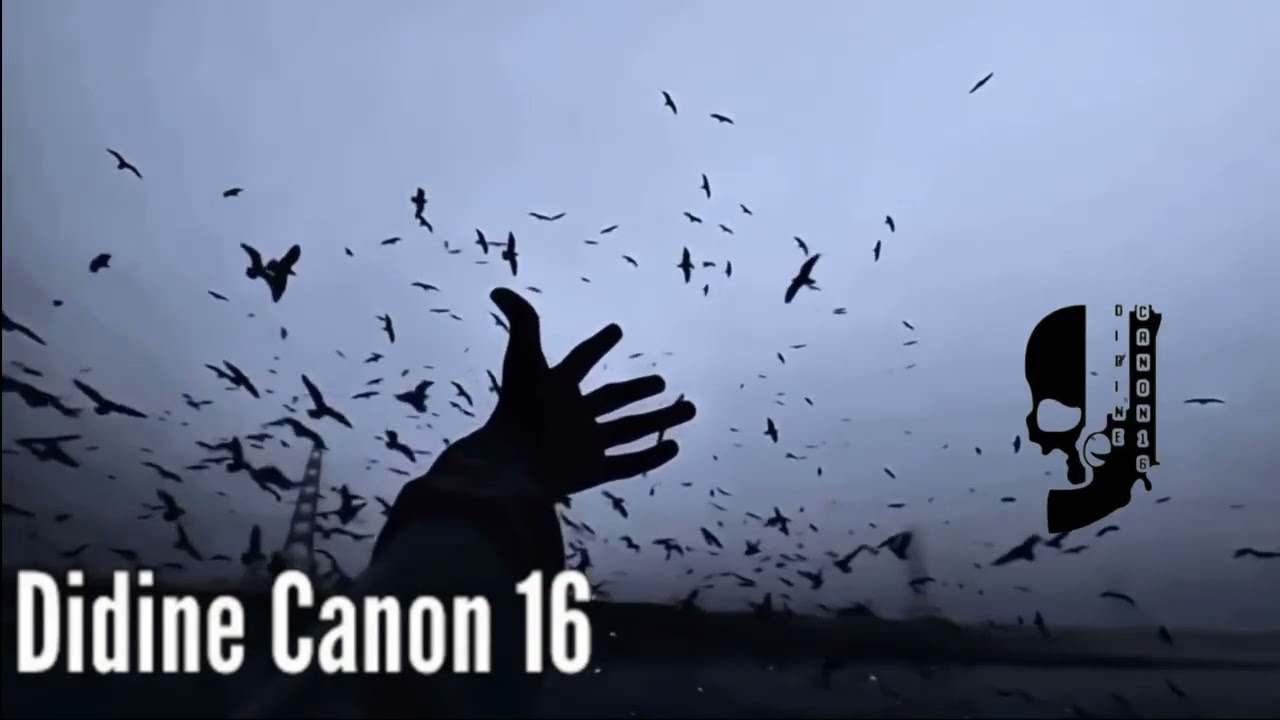 Didine canon 16 - Bitcoin