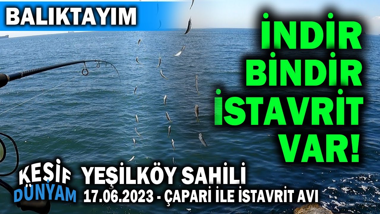Yeşilköy Sahili Haziran 2023 | Çapari ile İstavrit Avı |  İstanbul Balık Avı | BALIKTAYIM