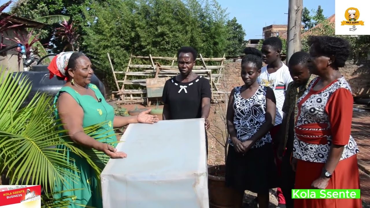 How to invest with less capital for  mass harvest in Mushroom growing #agriculture #agro #mushroom