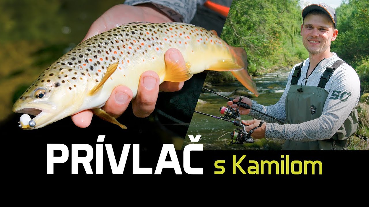 SPIN FISHING with Kamil ft. Delphin spinning rods ContaX and GraphiX (NEW)
