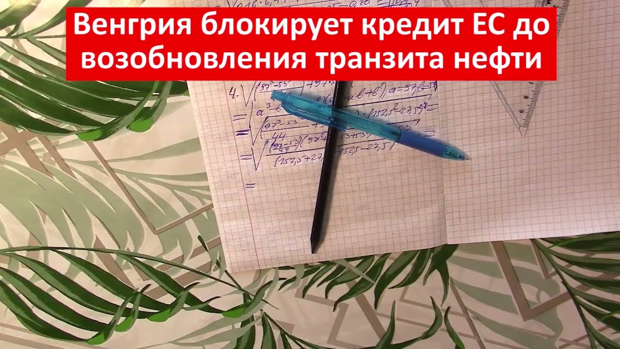 Нужно было давно! Мардан