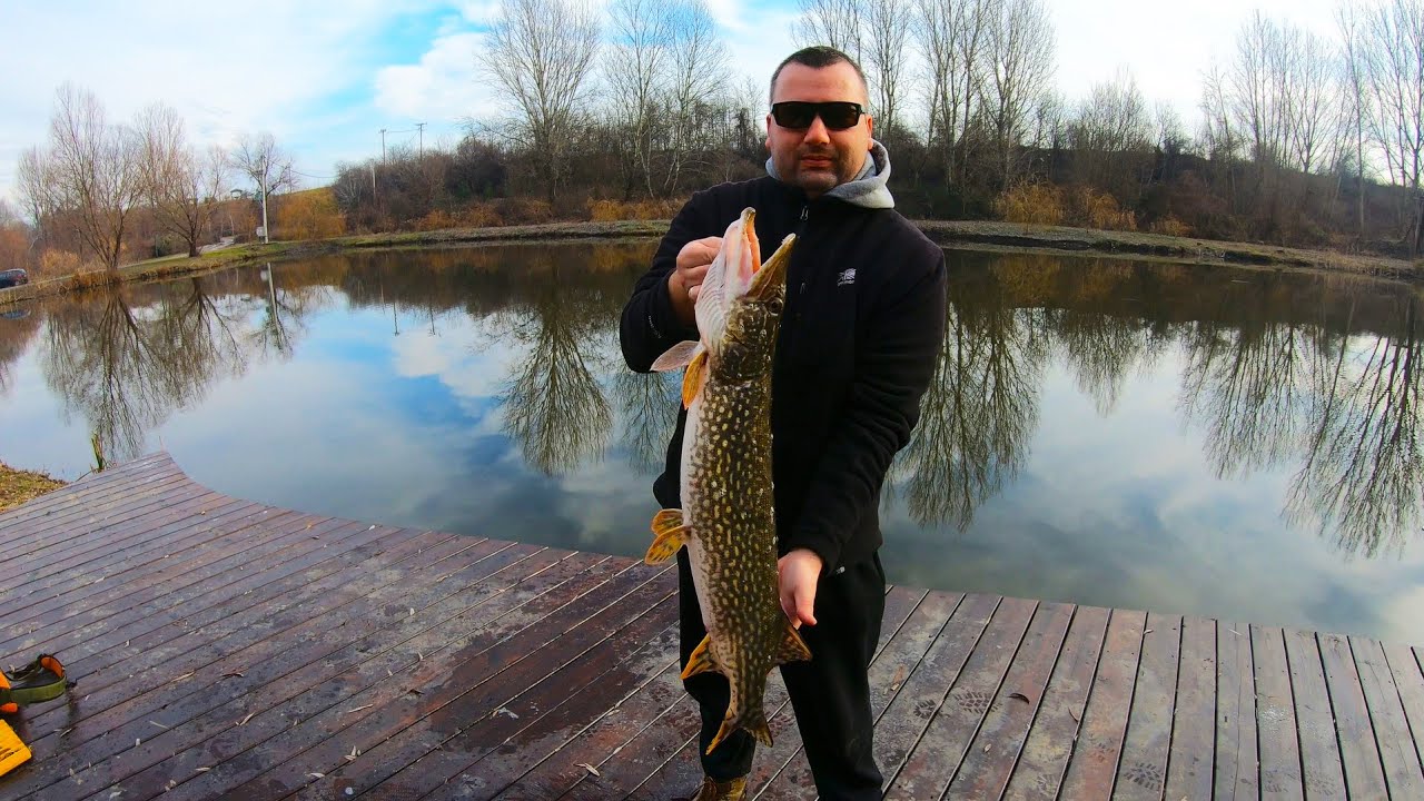 Zimsko pecanje barske stuke na shad - Winter pike fishing on shad at the Lake