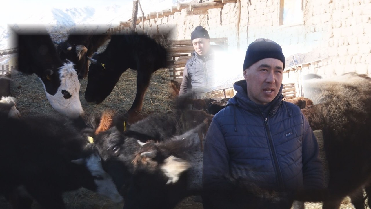 УТРК НАРЫН:САНДАН САПАТ МААНИЛҮҮ