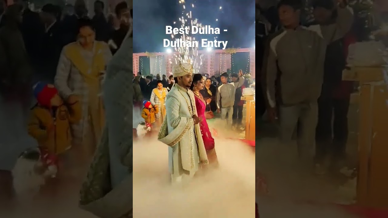 Best Dulha - Dulhan Entry / Indian Wedding