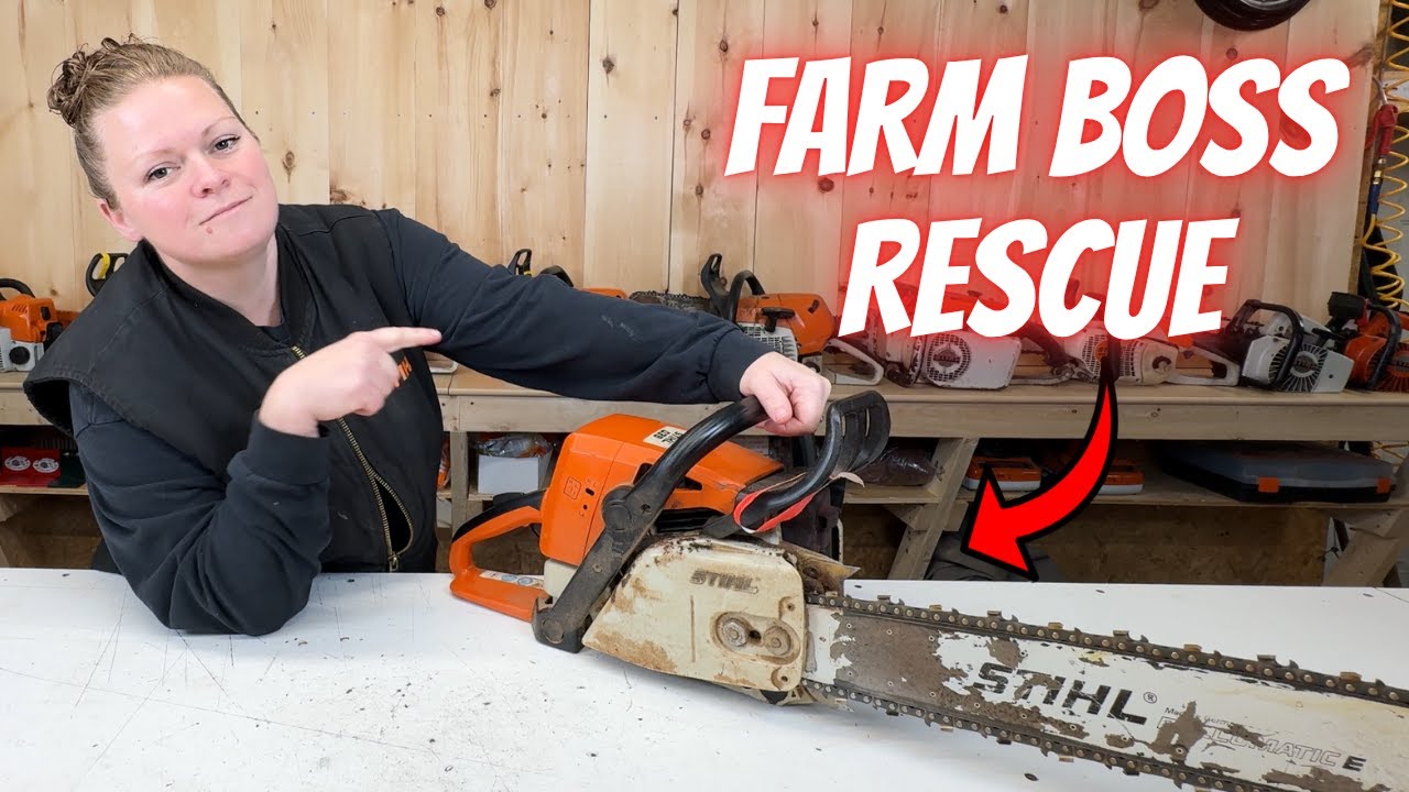 Давным-давно... жил-был Stihl 039 | Давайте спасём этого старого фермера