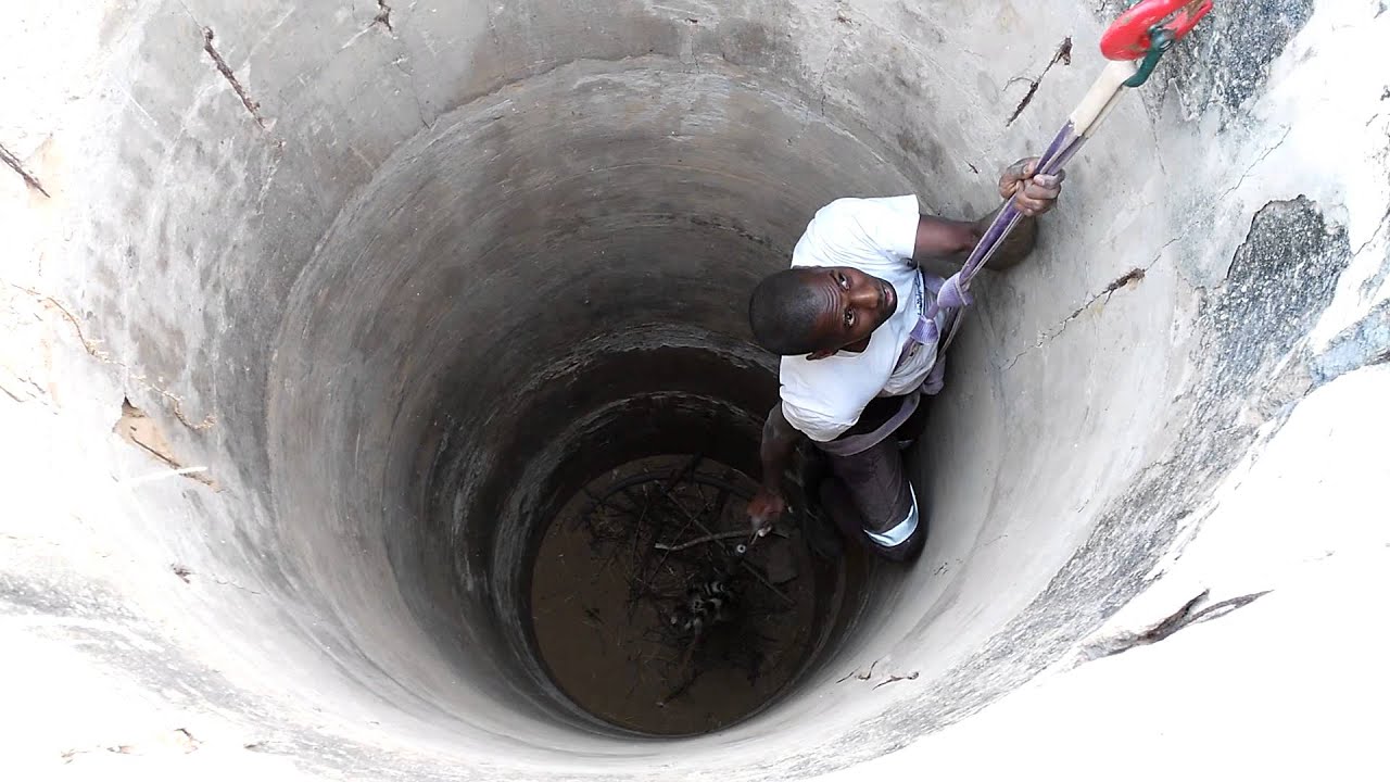 Rescue of Common Genet from a well, PN Diawling, Mauritania