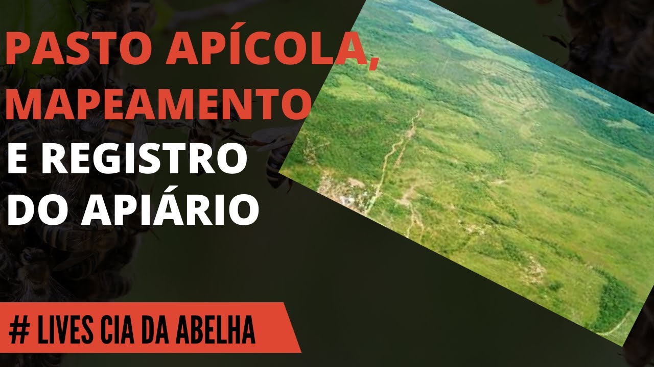 PASTO APÍCOLA, MAPEAMENTO E REGISTRO DE APIÁRIO