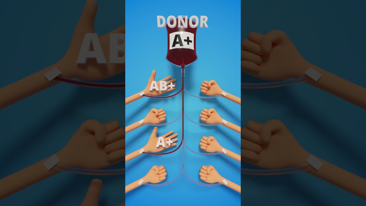 Blood Donor Compatibility #Blood #donor #compatibility #infographic