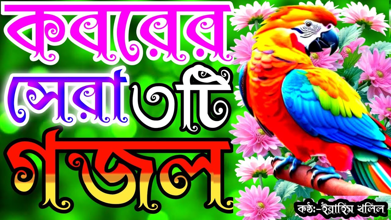 মন প্রান উজার করা সুরে কবরের কষ্টের ৩টি গজল | gojol | new gojol | গজল | new islamic song | gojal