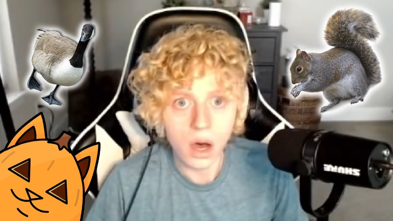 Learn Animal Sounds with Curt
