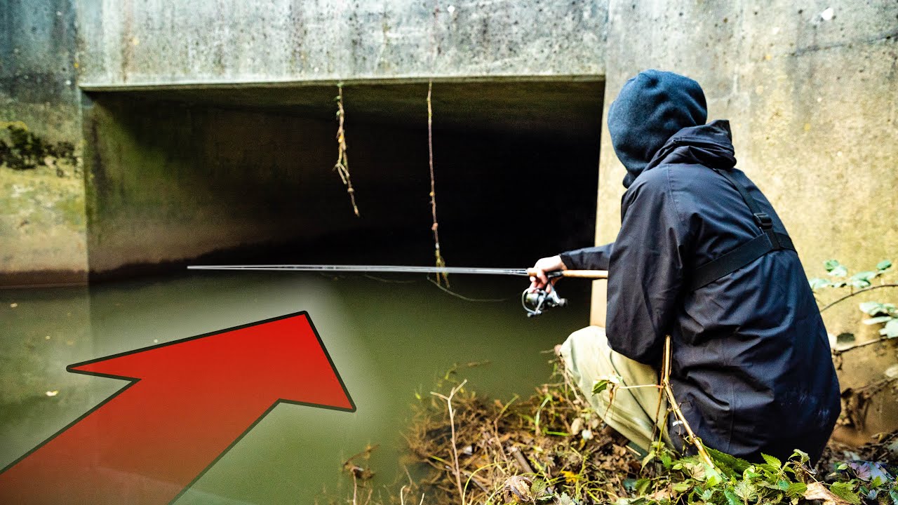 What Fish Live in this Mysterious Tunnel??