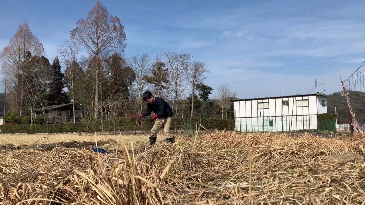 今日は、仕事終わりに畑作り。疲れた😓