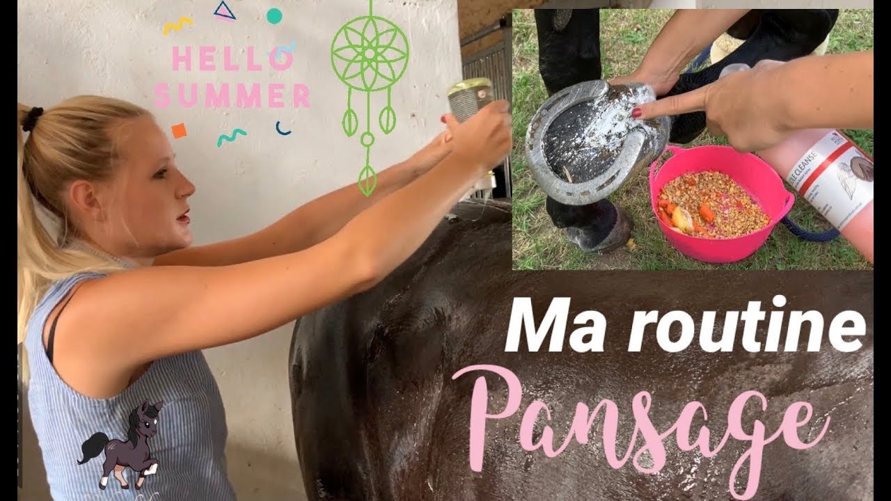 Ma Routine Pansage ! 🎀☀️🦋🌾