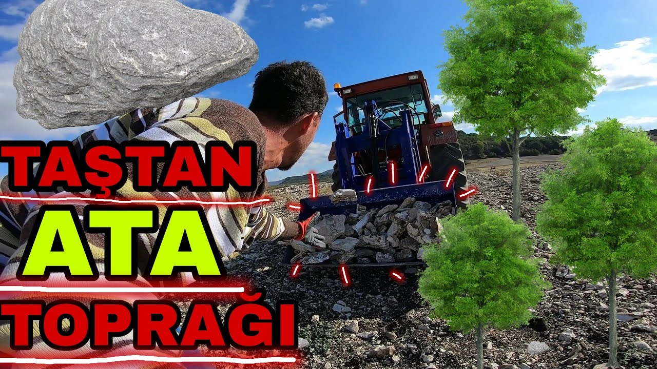 TAŞ'TAN ATA TOPRAĞI!!ARPA EKİMİ~HAYVANCILIK İÇİN TAŞTA OLSA EKİN!!!