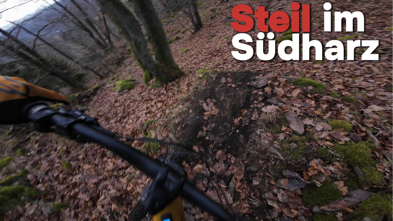 MTB Gestuhle im Südharz - Steil, steinig und unbekanntes Terrain #harz #mtb #downhill #enduro 