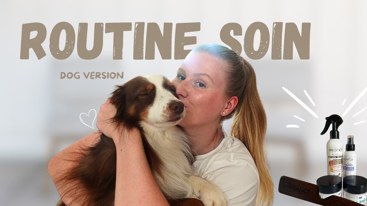 LA ROUTINE SOIN DE MES CHIENS 🐾