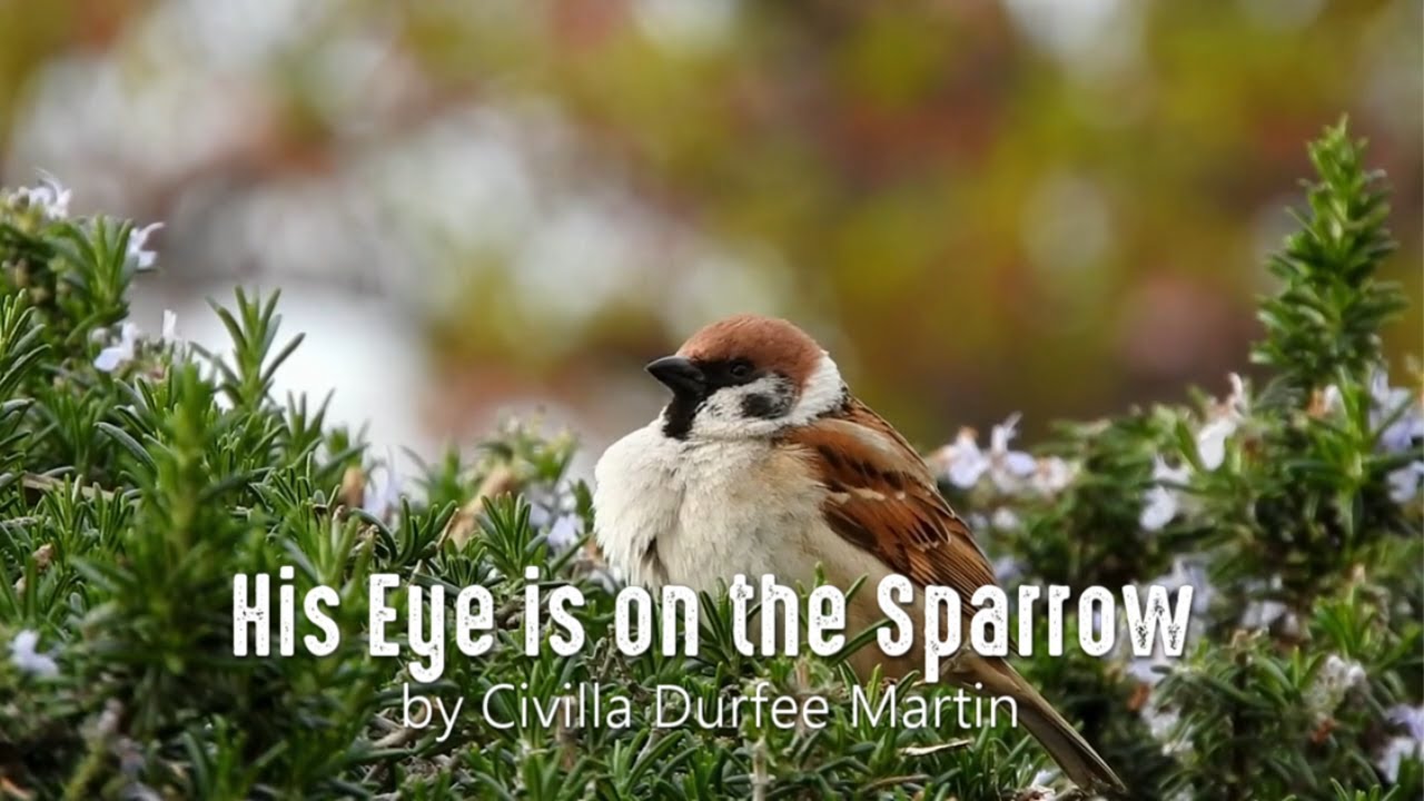His Eye is on the Sparrow | Relaxing Piano Hymn with Lyrics