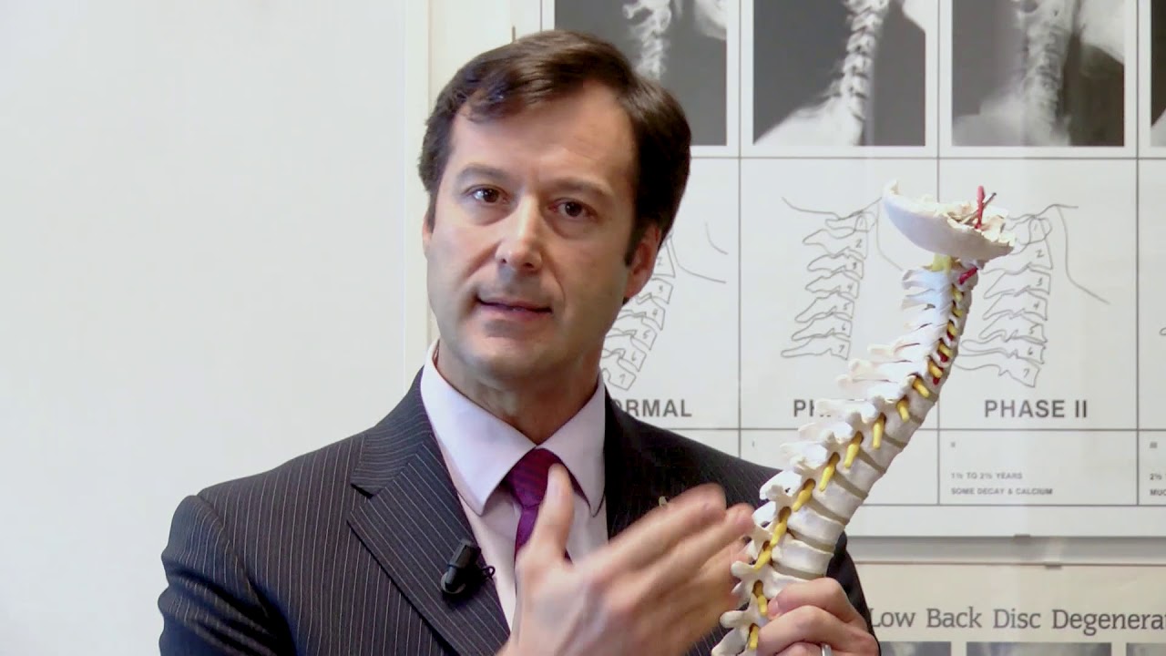 CHE COSA E' LA CHIROPRATICA - STUDIO CECCHI - Dr. ANDREA CECCHI