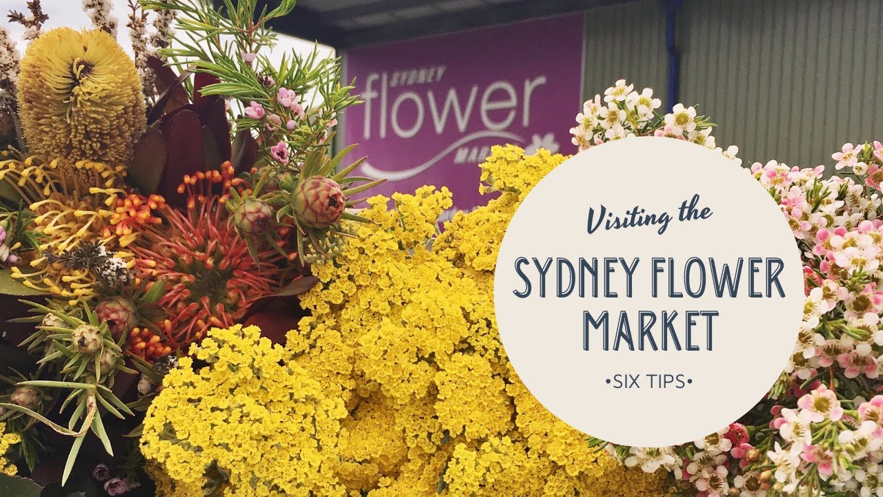 Visiting the Sydney Flower Market and Six Tips!