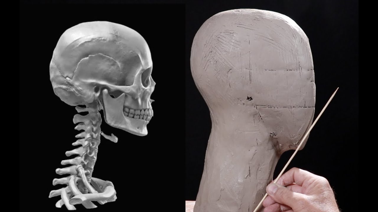 MODELER L'ARGILE SUR L'ARMATURE