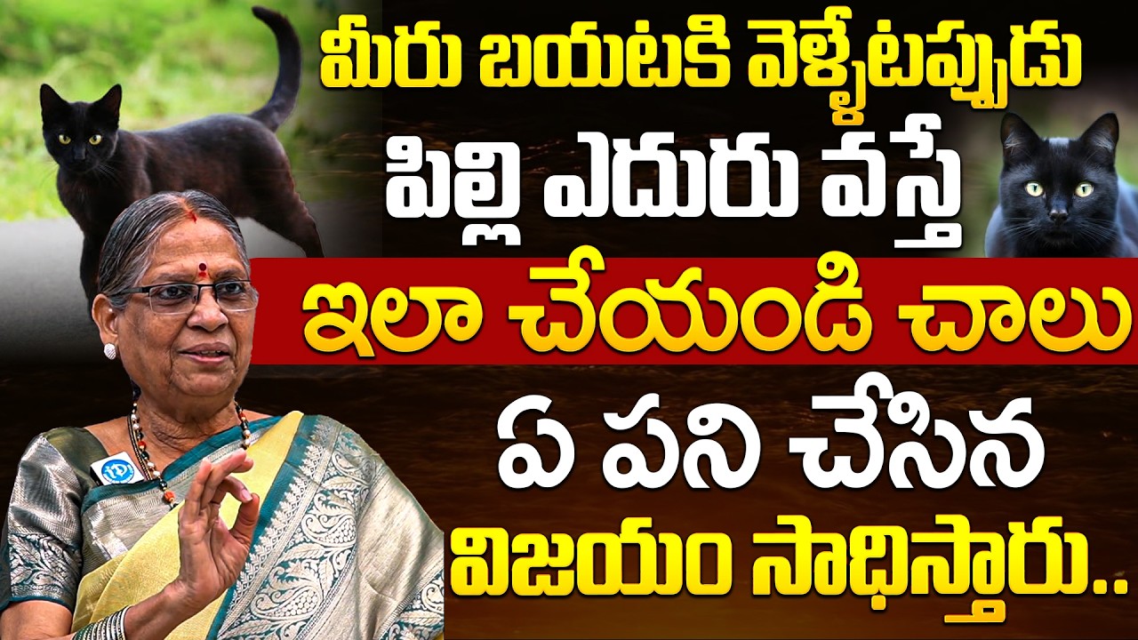 Vijaya Laxmi - మీరు బయటకి వెళ్ళేటప్పుడు పిల్లి ఎదురు వస్తే ఇలా చేయండి ఏ పని చేసిన విజయం సాధిస్తారు