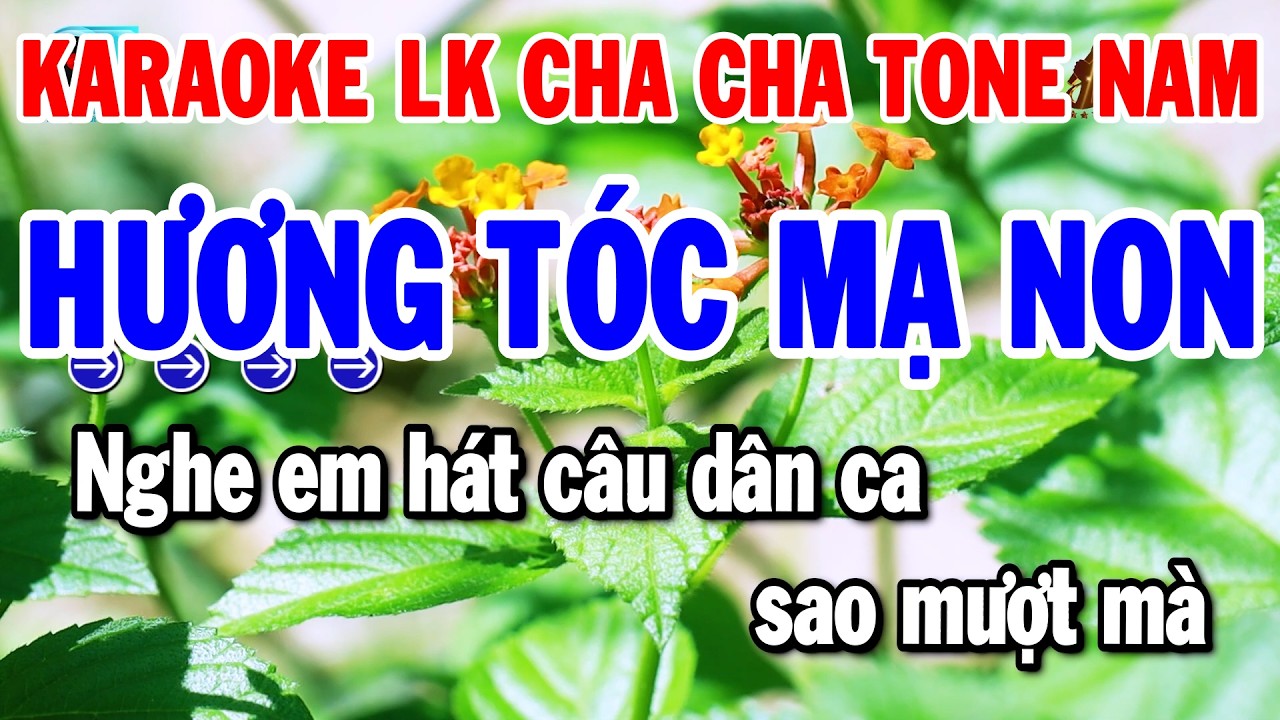 Karaoke Liên Khúc Tone Nam Cha Cha Hay Nhất 2026 | Hương Tóc Mạ Non - Hình Bóng Quê Nhà | Thanh Hải