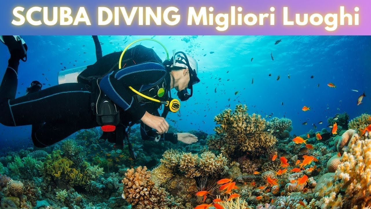 SCUBA DIVING I MIGLIORI LUOGHI - MoviMondo