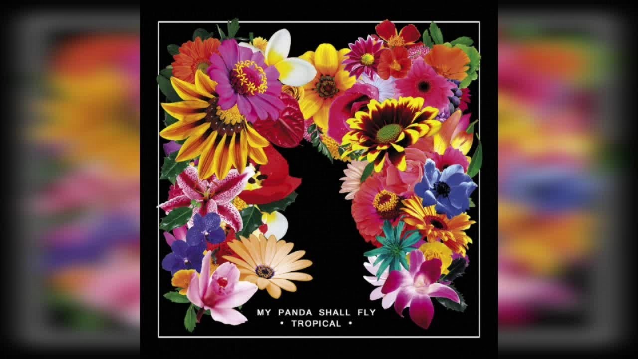 My Panda Shall Fly - Tropical (Full Album Stream)