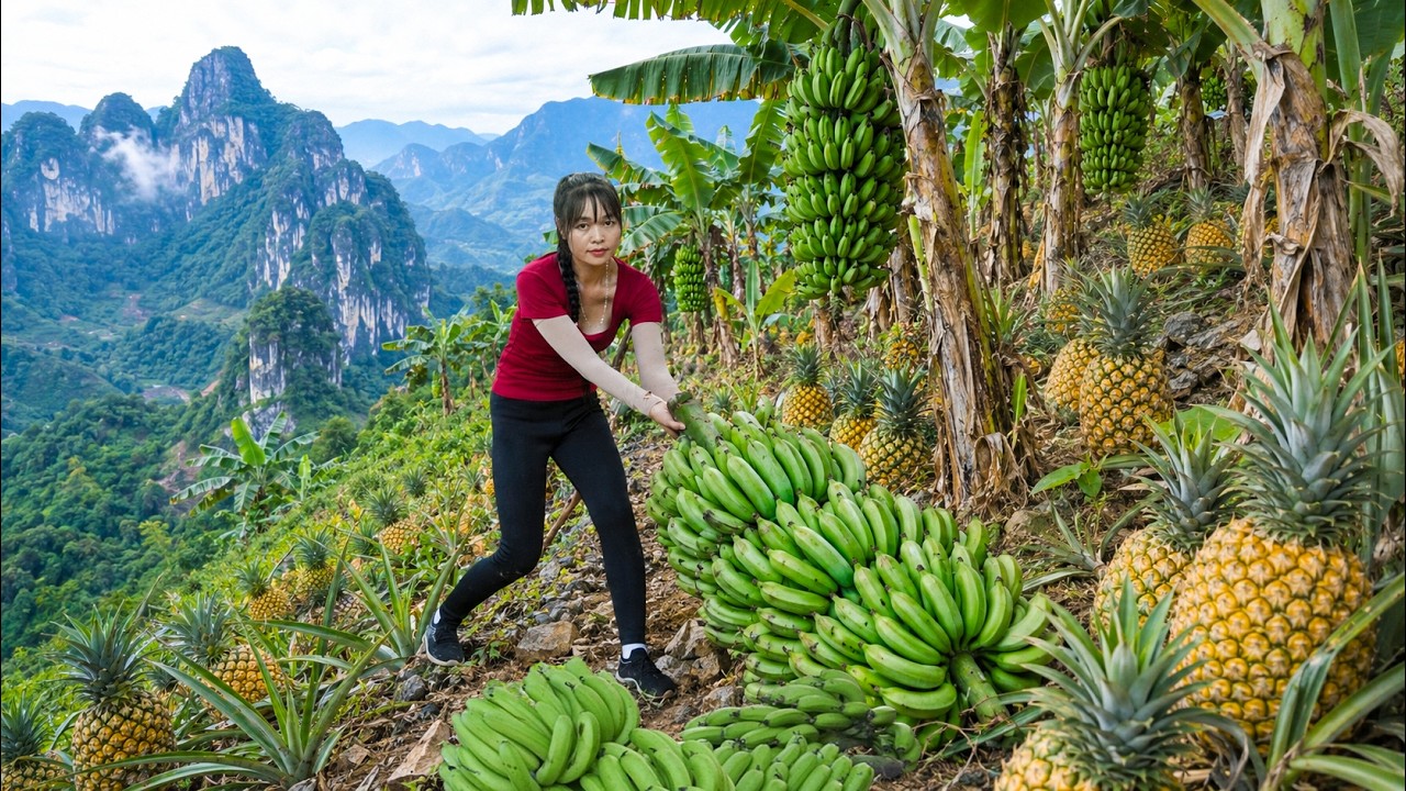 Harvesting Giant Bunches of Bananas, Ripe Pineapples to Sell at Village Market | Cooking from Fruits