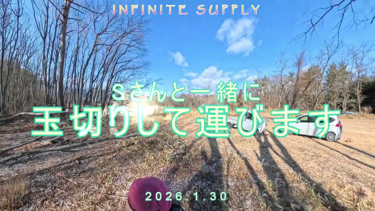 楢の玉切りとシイタケの榾木を作り運びました