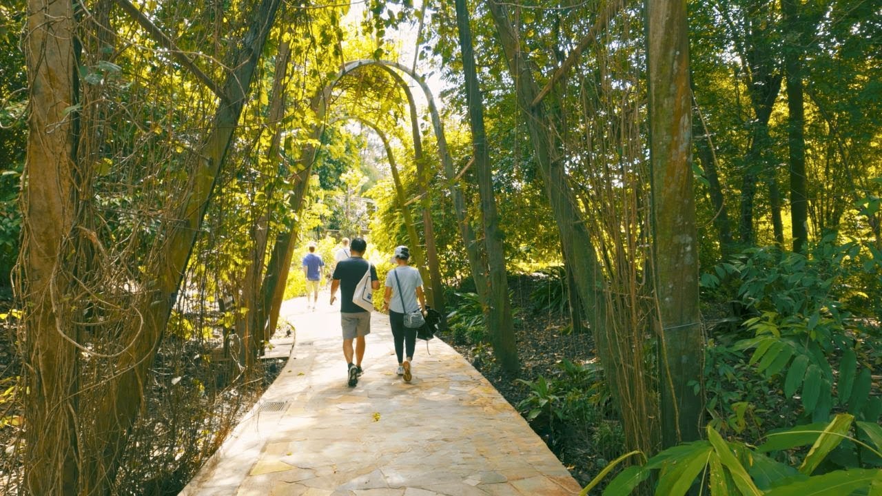 Singapore Botanic Gardens  | Nature Sounds