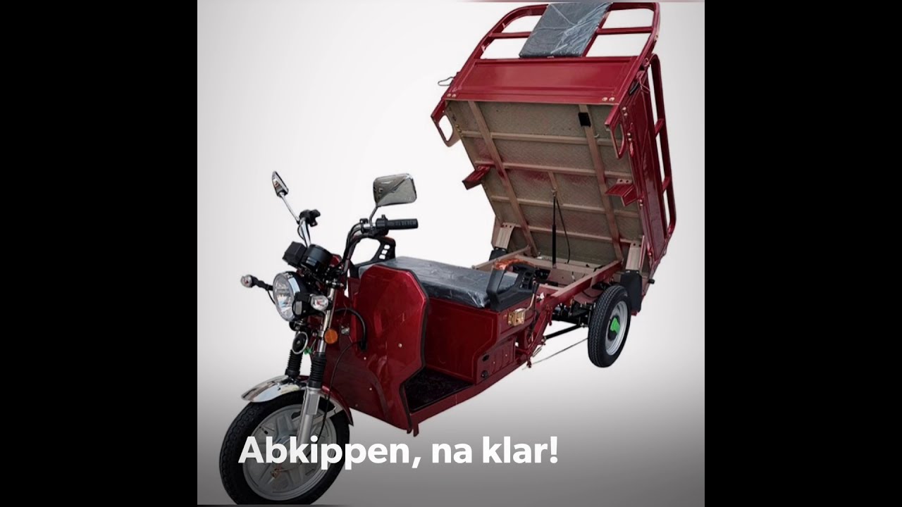 GinkGo Elektrolastentrike