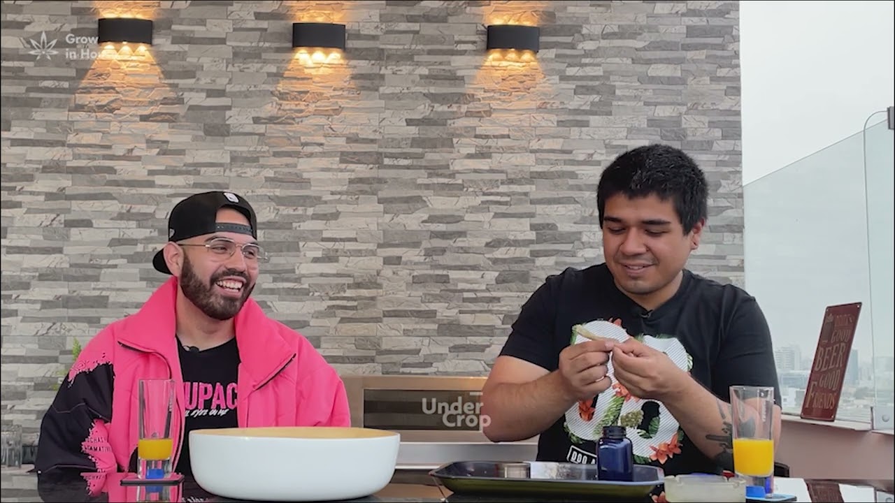 🐳PROBAMOS el CULTIVO de MOBY D AUTO junto a BERNARDO de ROTALO TV | ONE PIECE NO ES LO QUE PARECE 🩸👒